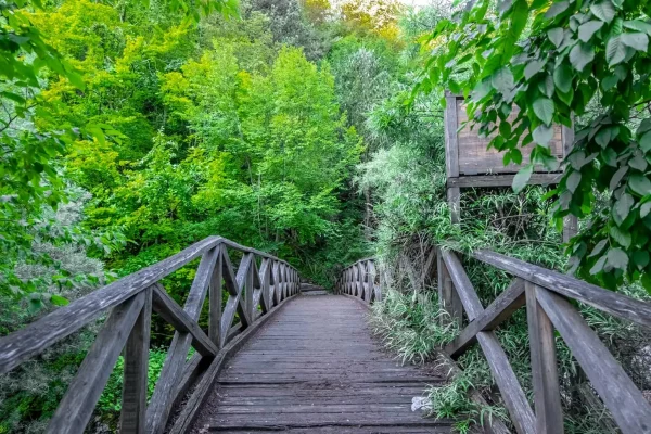 olympus-path-by-Dimitris-Pitsilkas